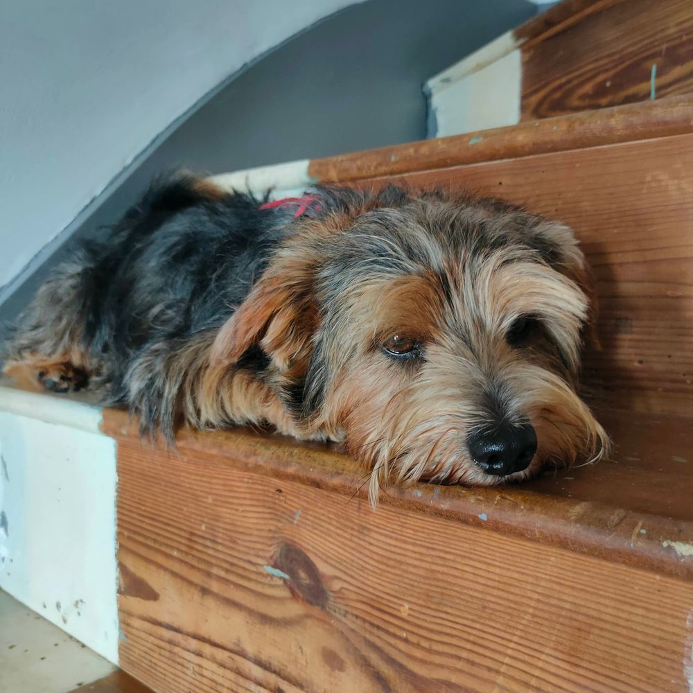 cubby
