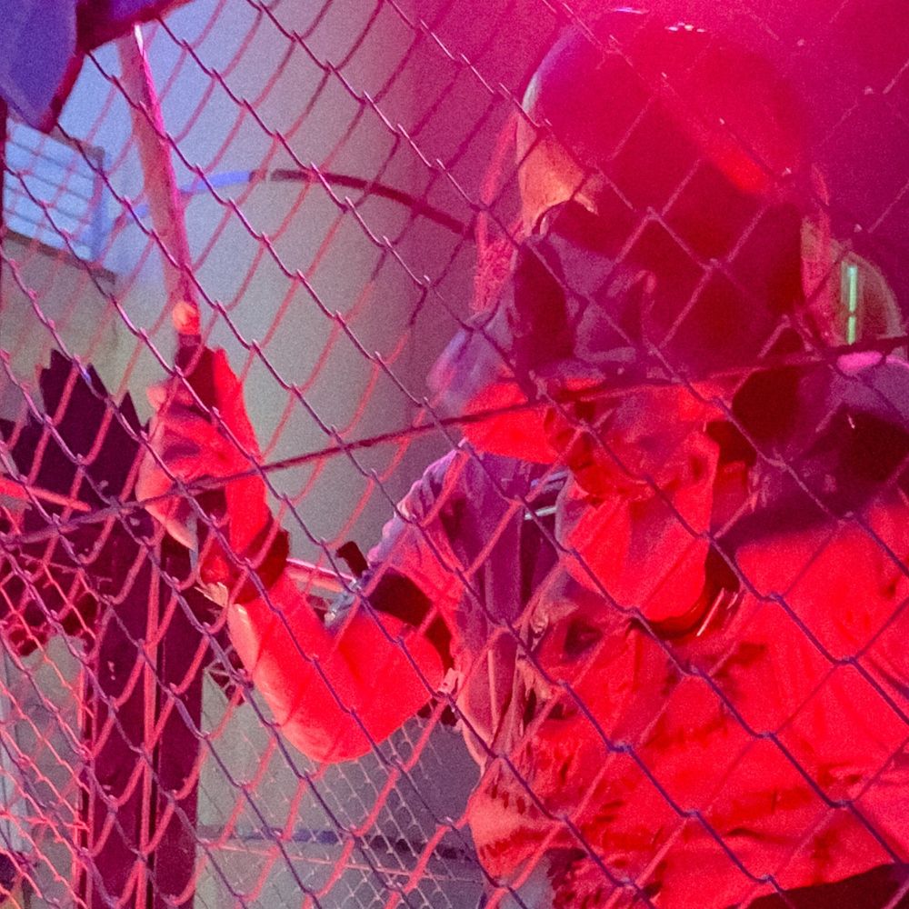 サメタロ