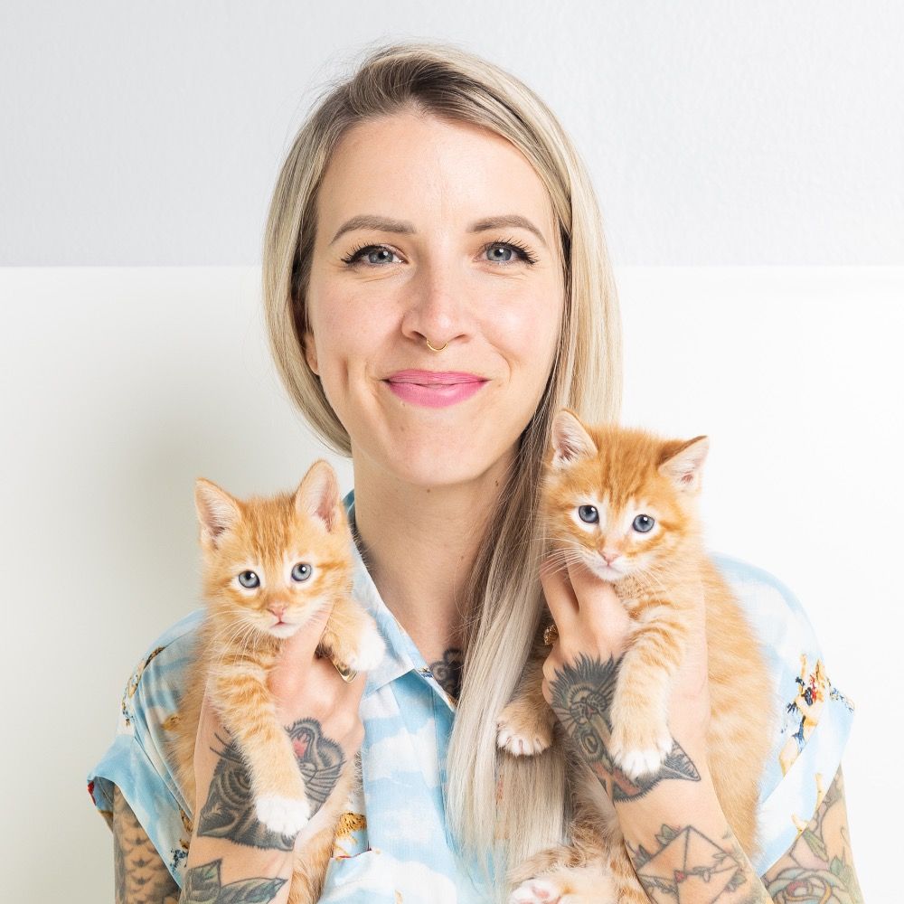 Kitten Lady