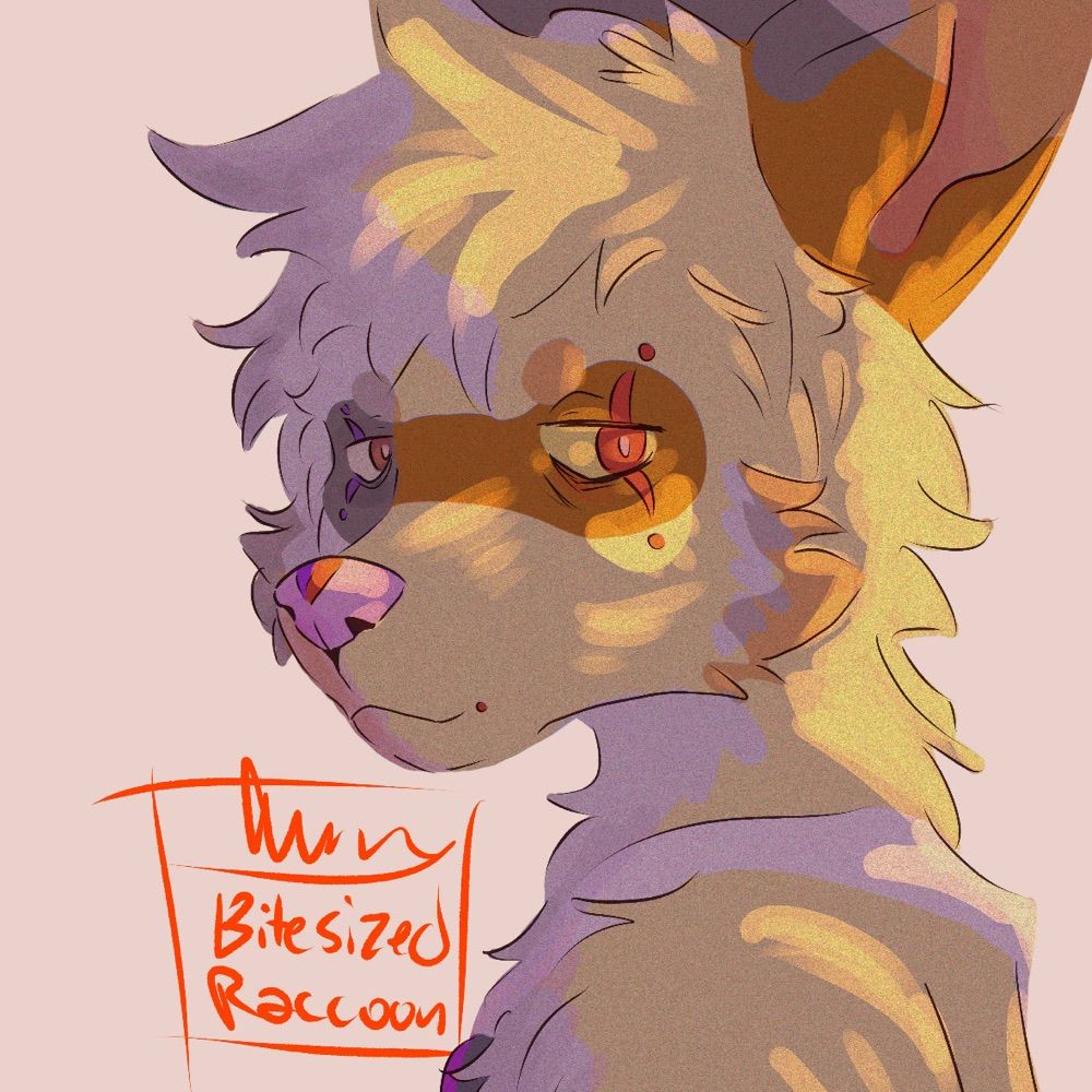 BiteSizedRaccoon