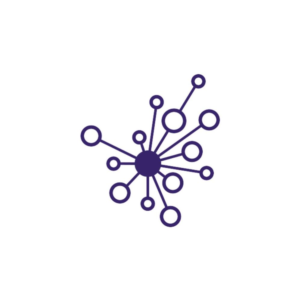 eScience Institute