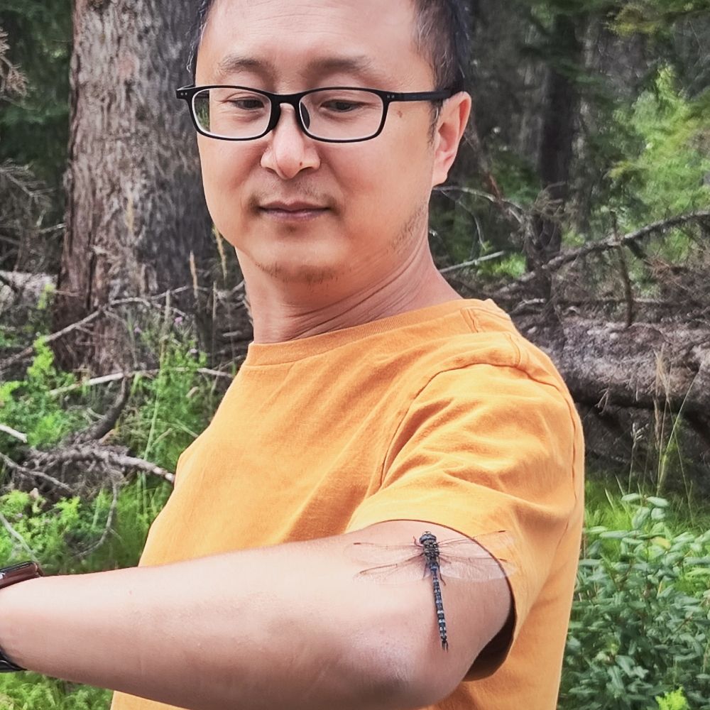 Weiwei