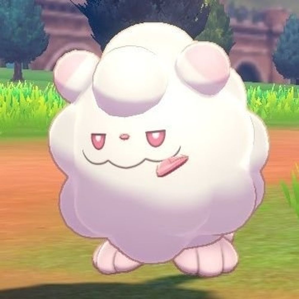 🌟💫もも🌟💫