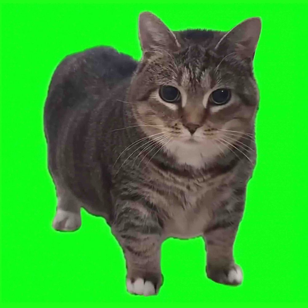 JaviMachine