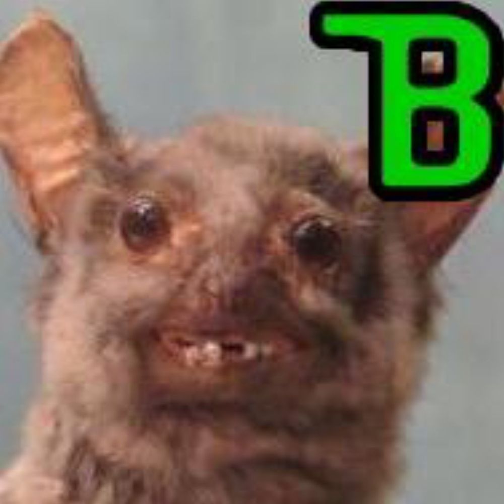 BMovieManiacs