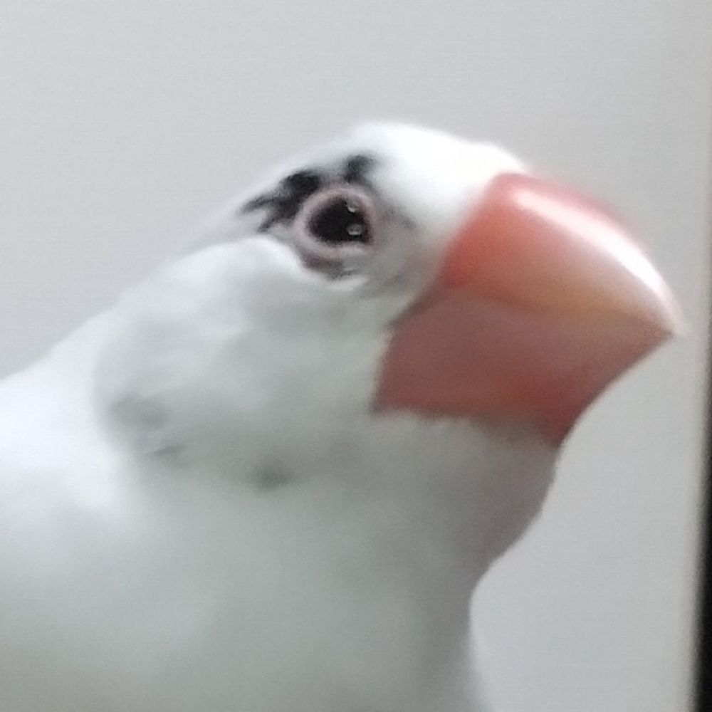 鮭だよ