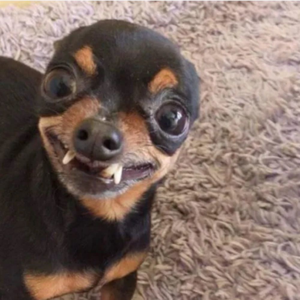 L