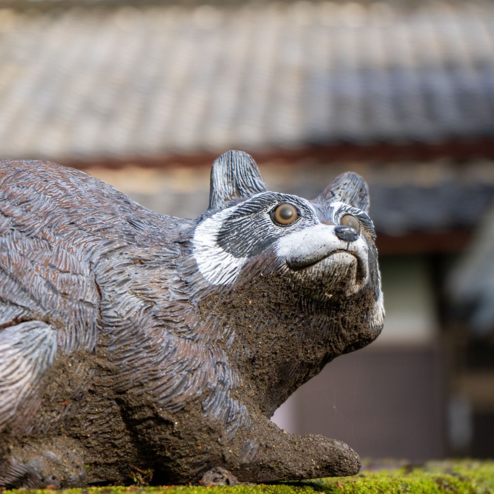 こばひっ