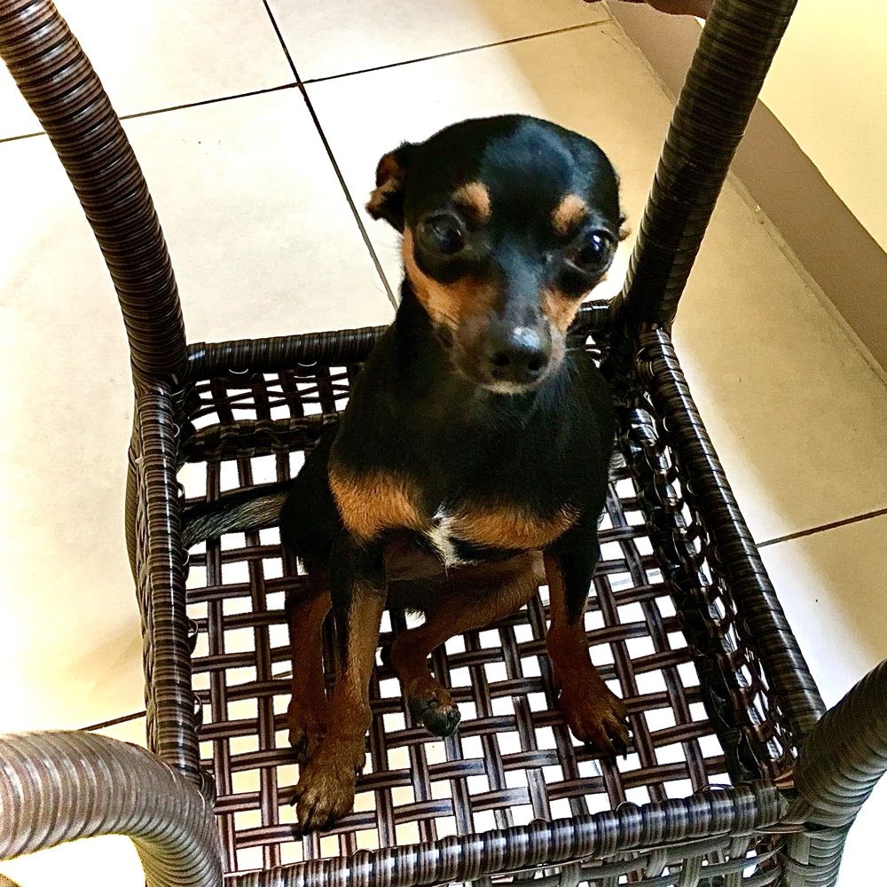 チッチャイ