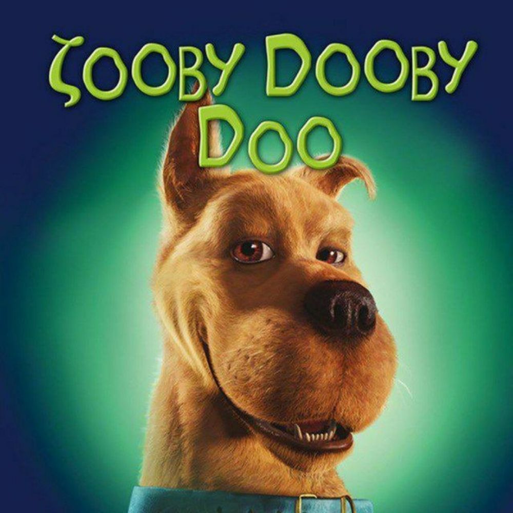 ZoobyDoobyDoo