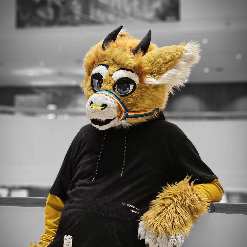 Arkyderg