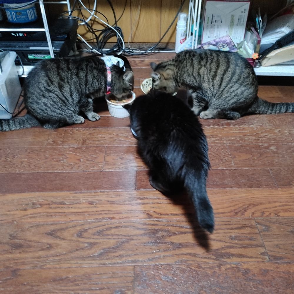がらじお