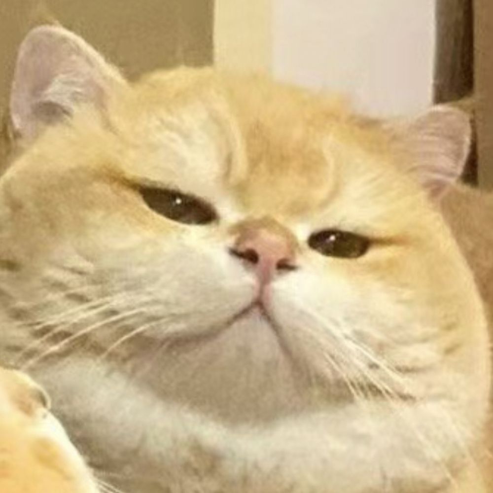 乳胶液