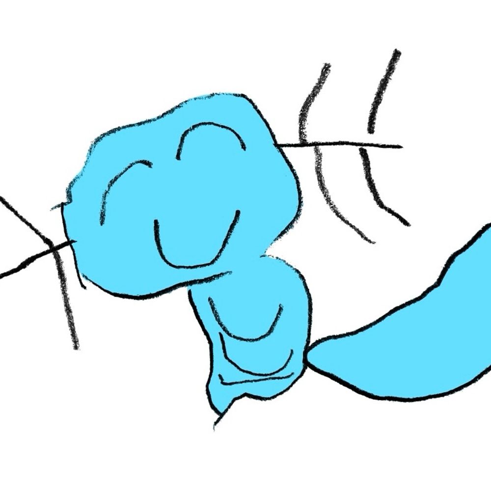 いしわり