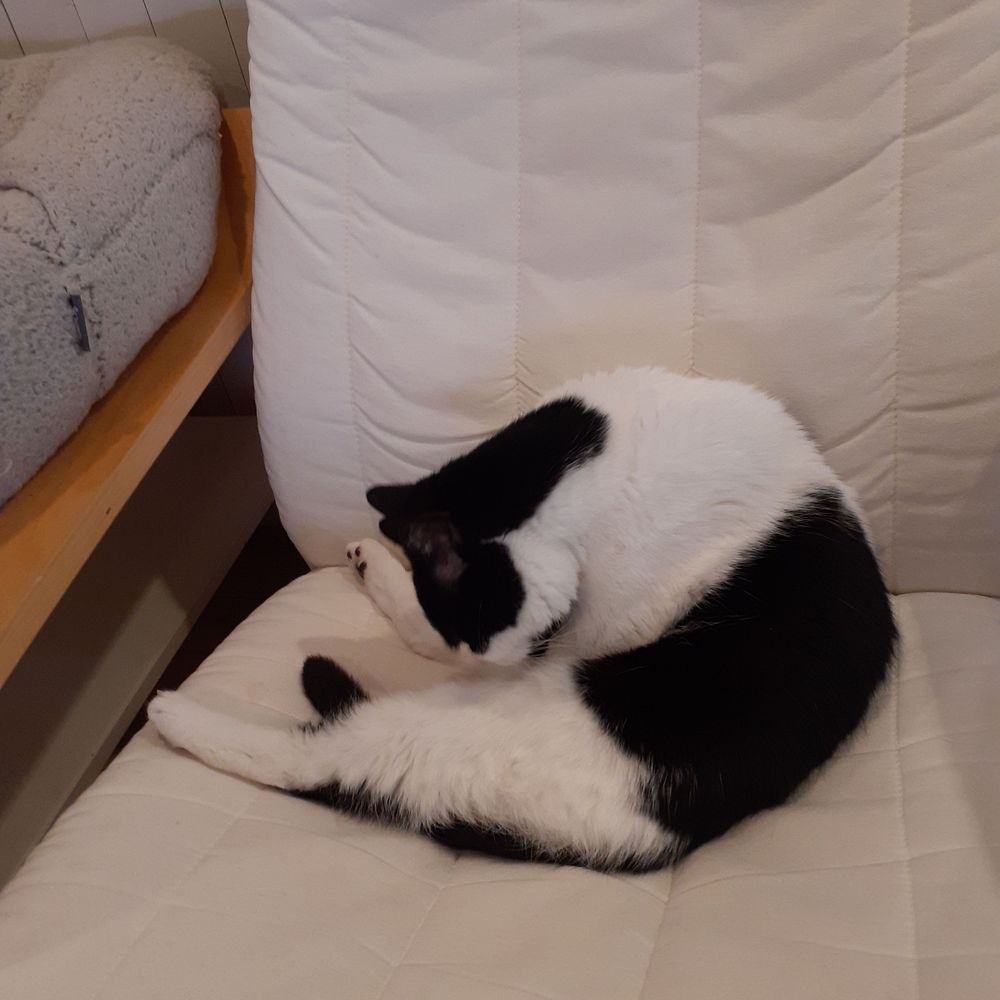 えび丸