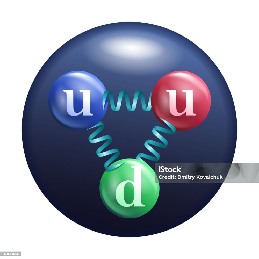 Gluon Vector