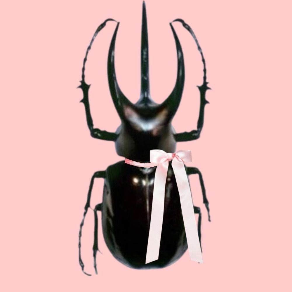 Zozo_0ffline