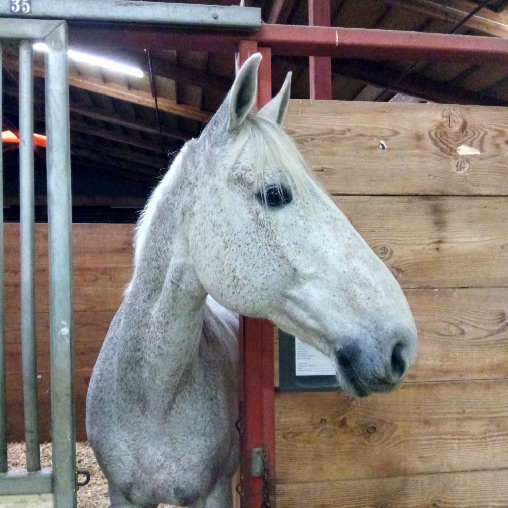 ranch-manager.bsky.social profile picture