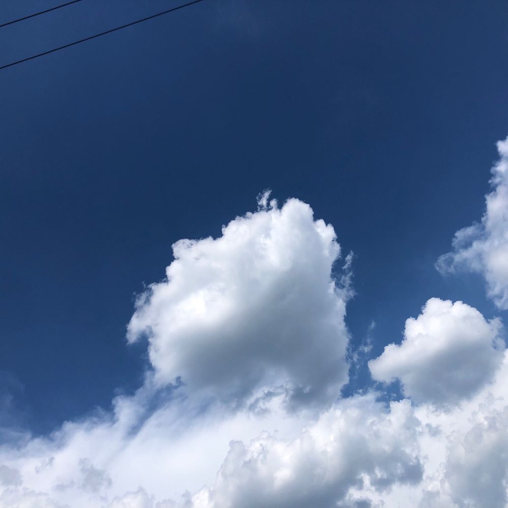 しろいくも