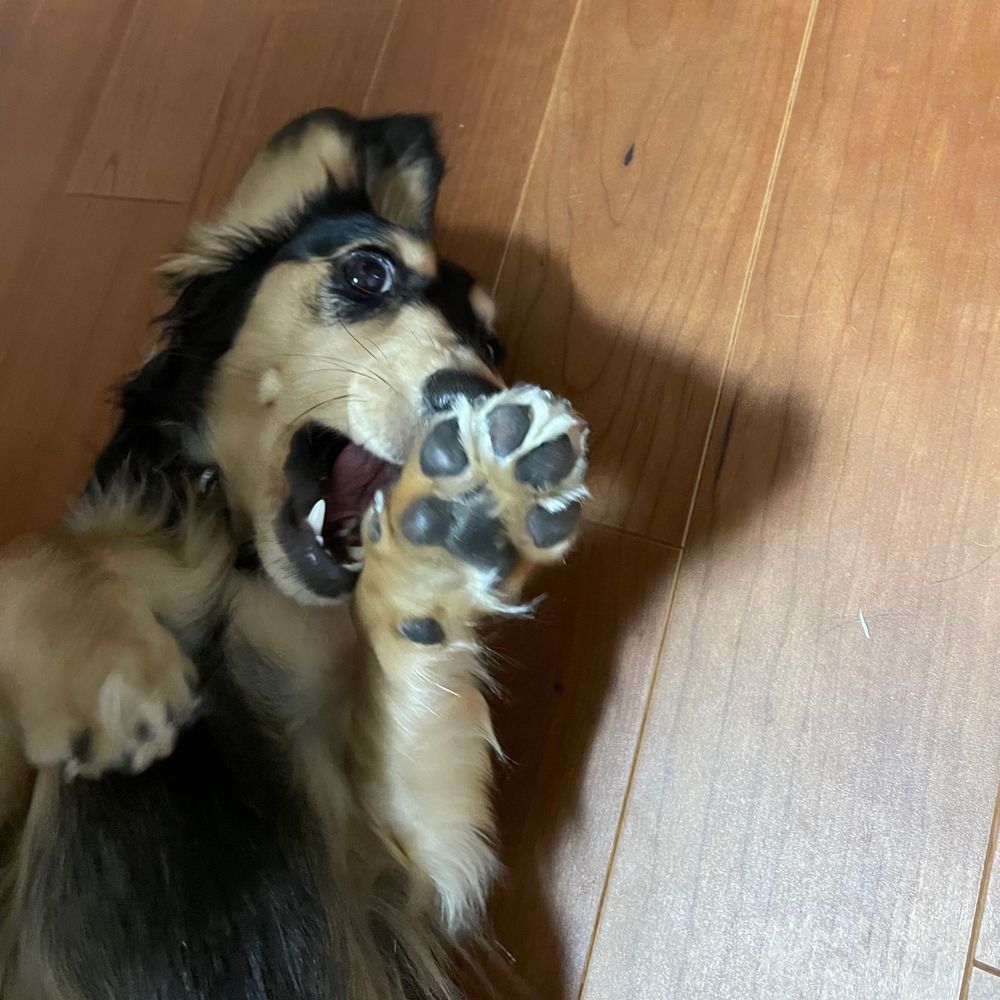 キリチカ