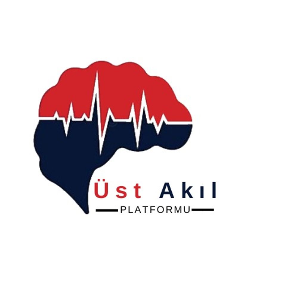 Üst Akıl Platformu