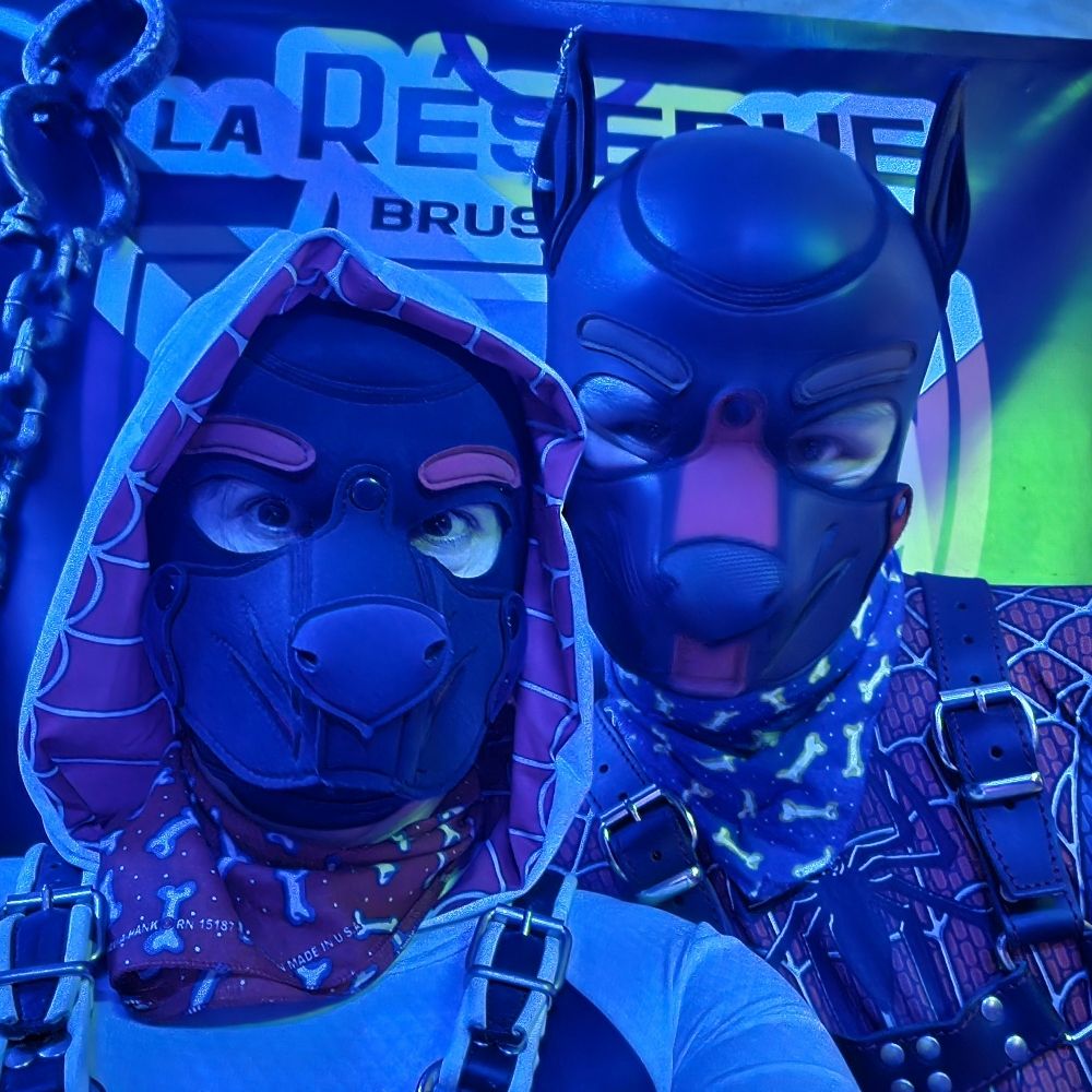 Pups Mike & Djurre  🇧🇪 🏳️‍🌈🐾