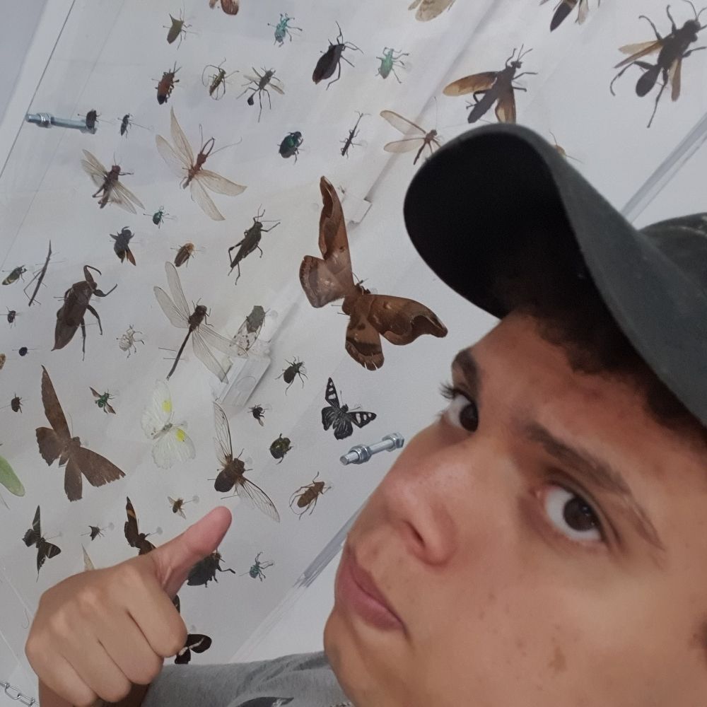 Deezerspero