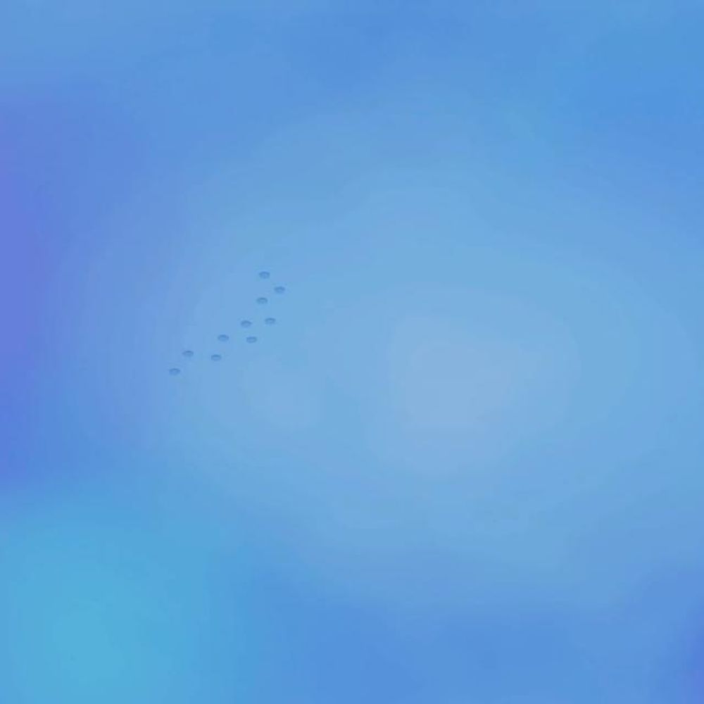 柚竹