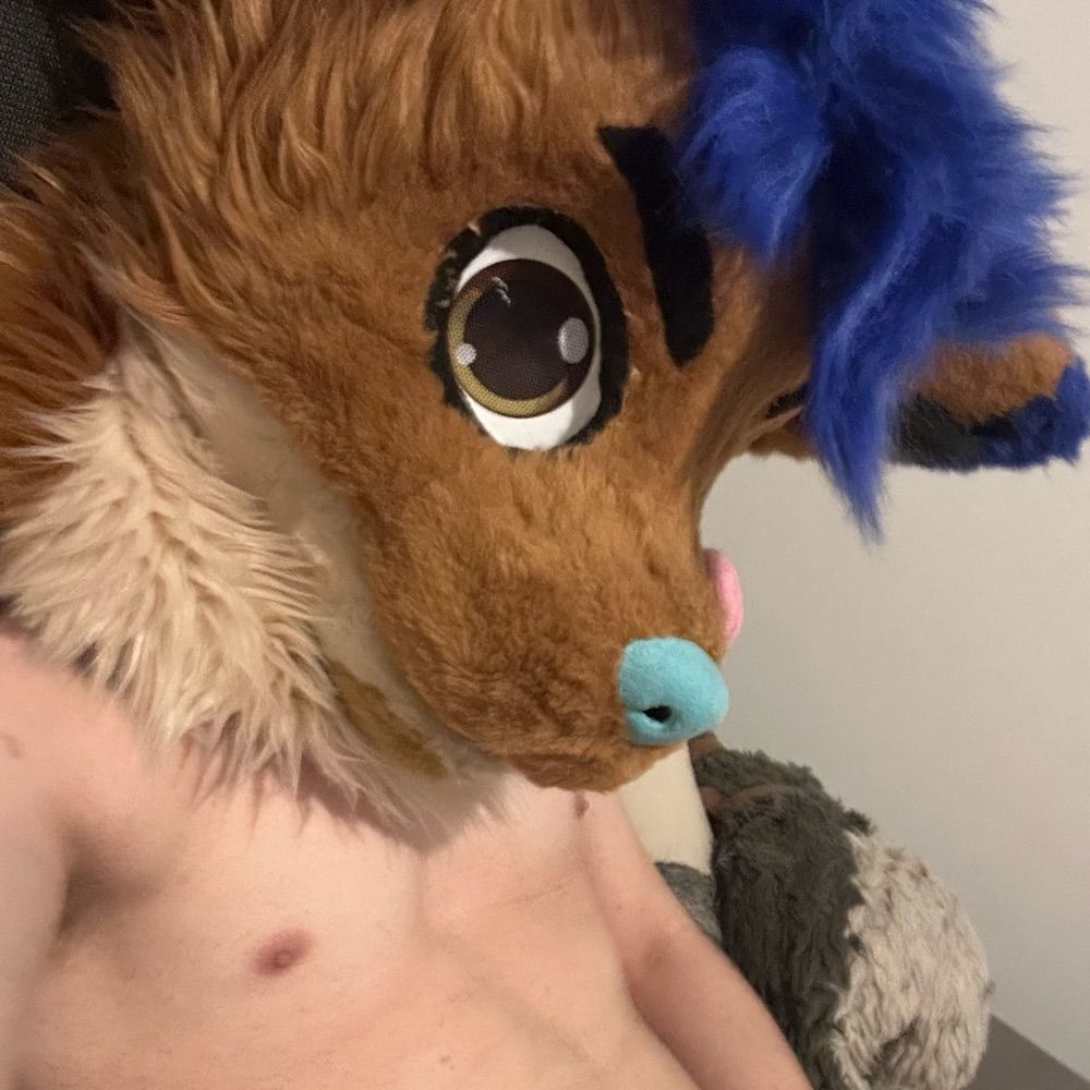 Horny hieta