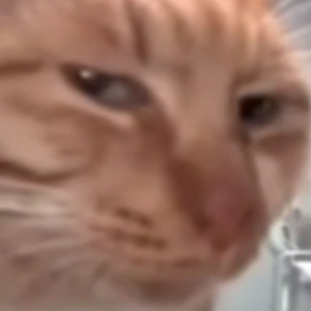 MatheusDahora