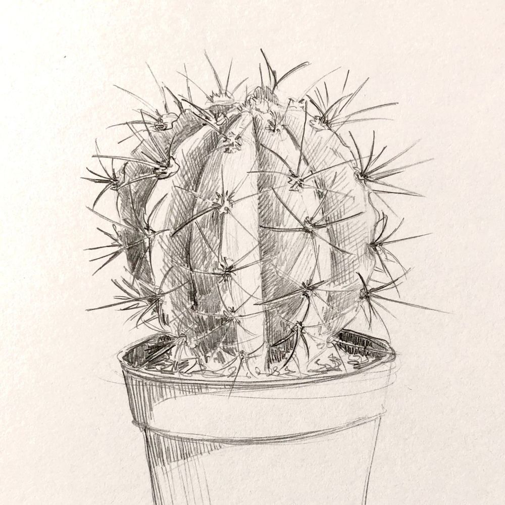 Cactus