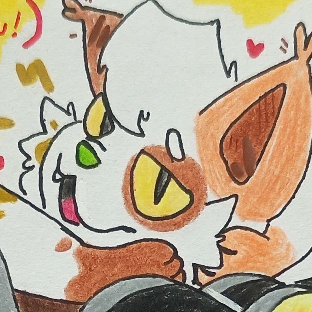 Jiru the Cat