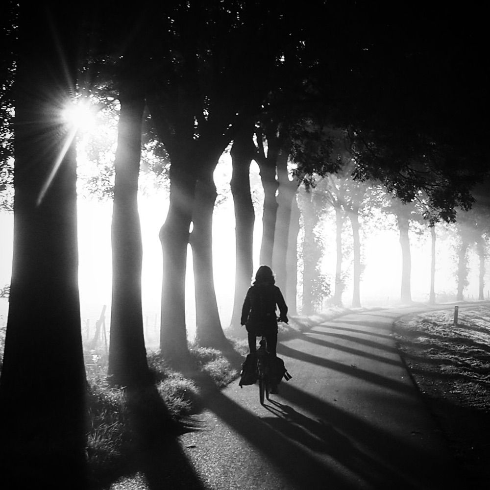 Wauba-bnw-photography