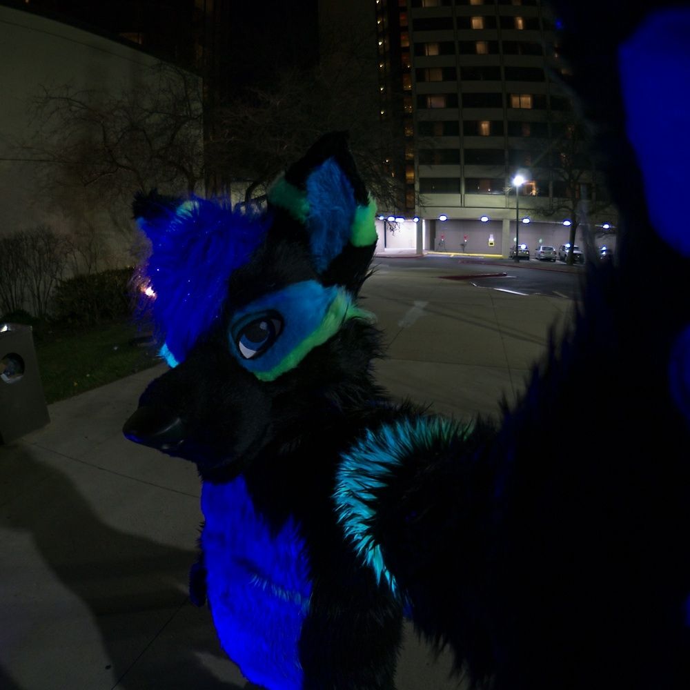 Kaiden RaveWulf