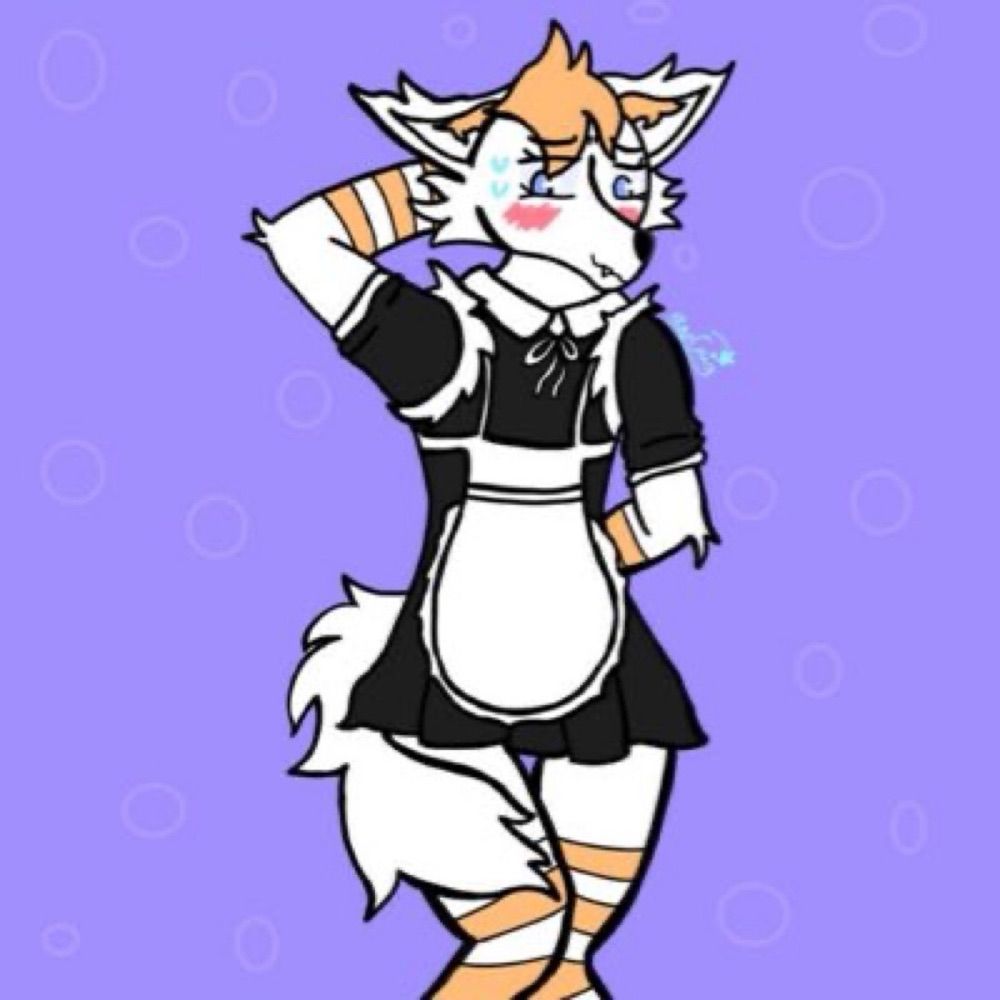 Snow Fox 🏳️‍⚧️