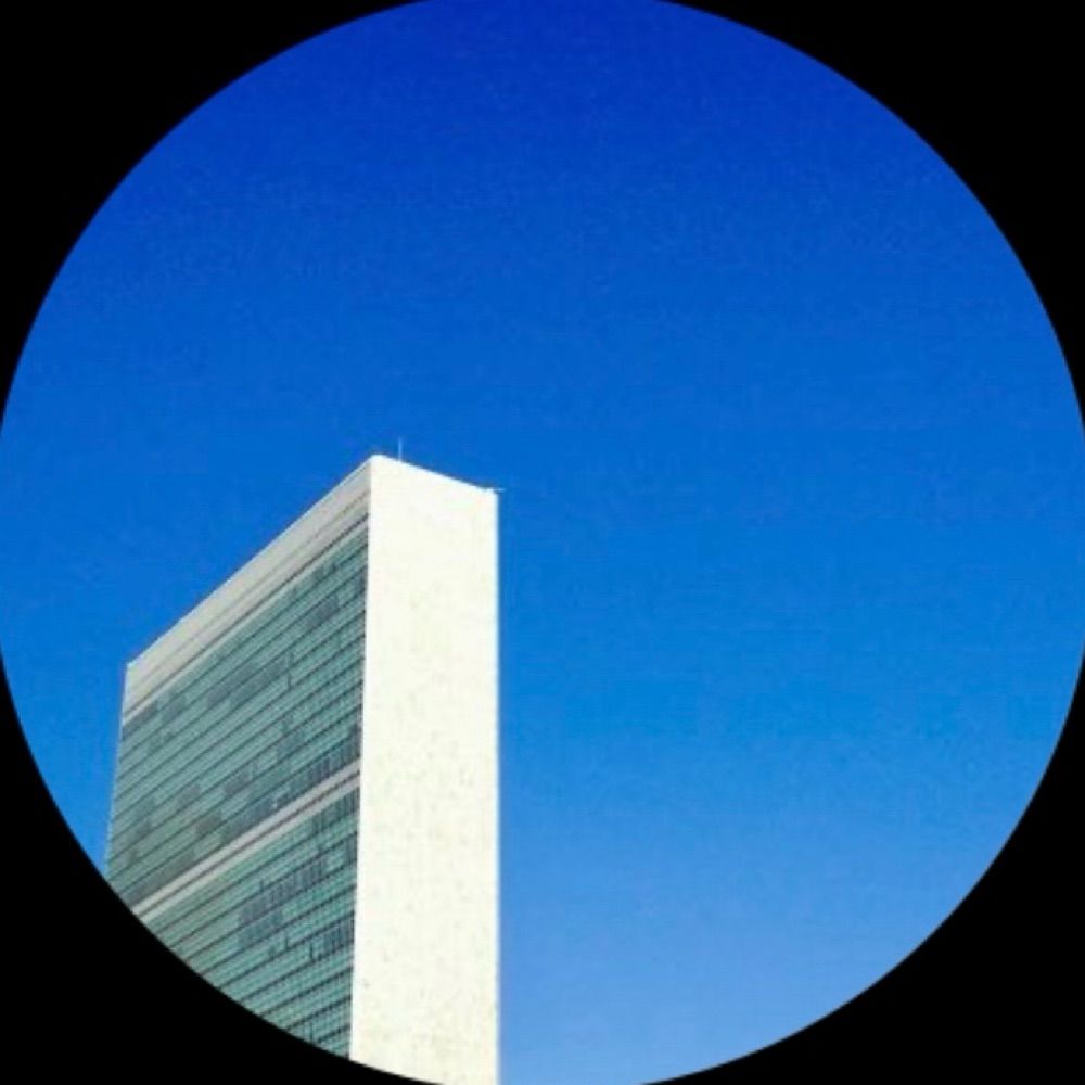 UN Report 🌐