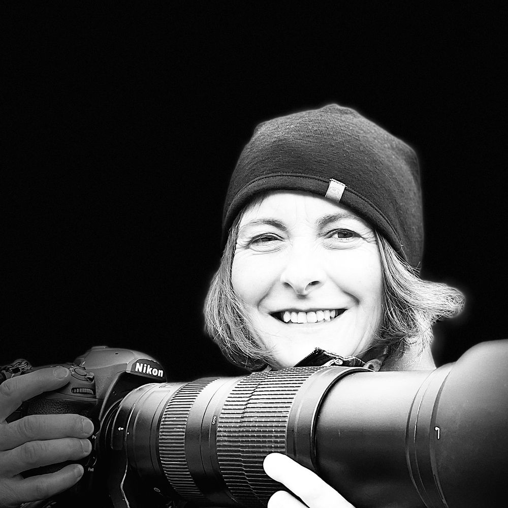 Isabelle Groc