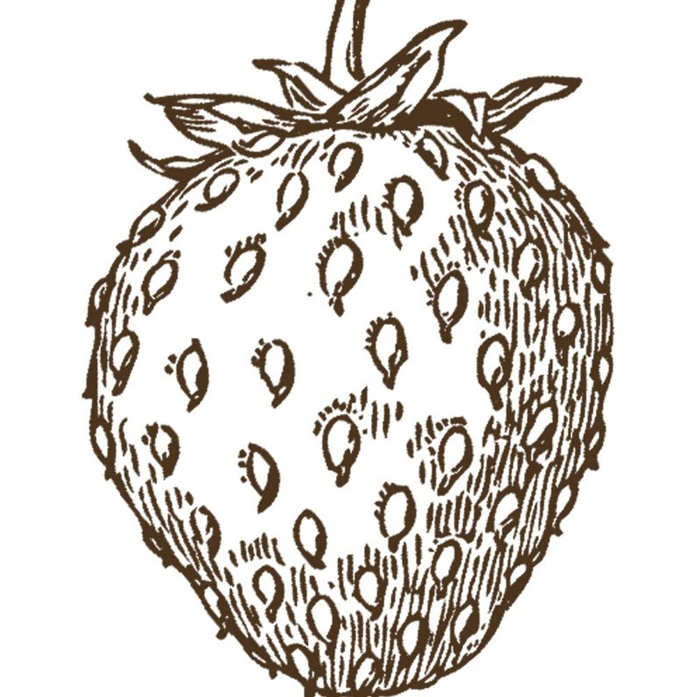 Strawberry Plains Patisserie