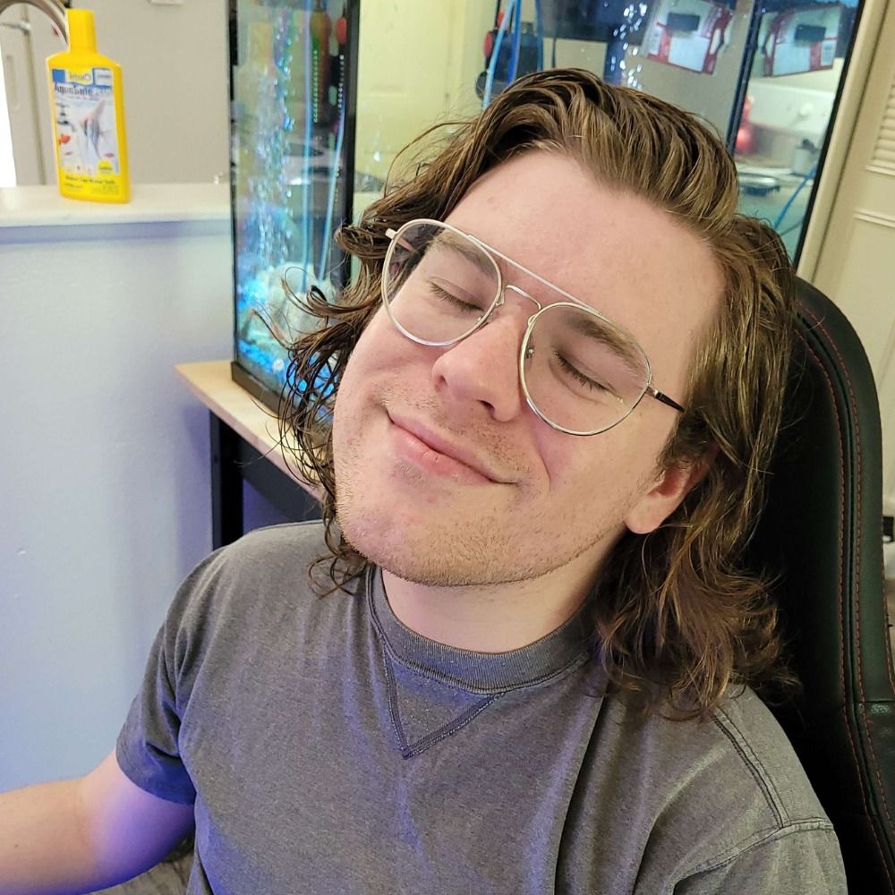 Jack Bernardi