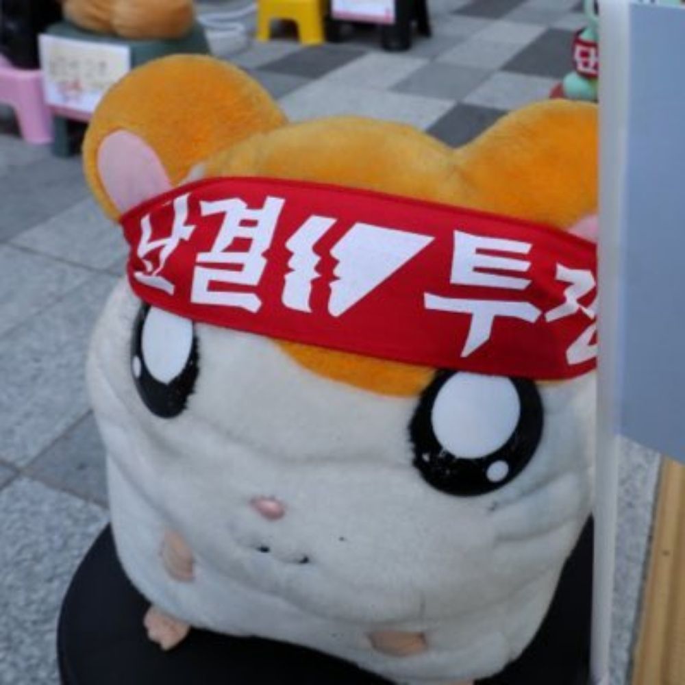 톨🍅