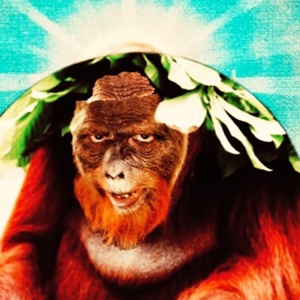 Paulie Giamonkey