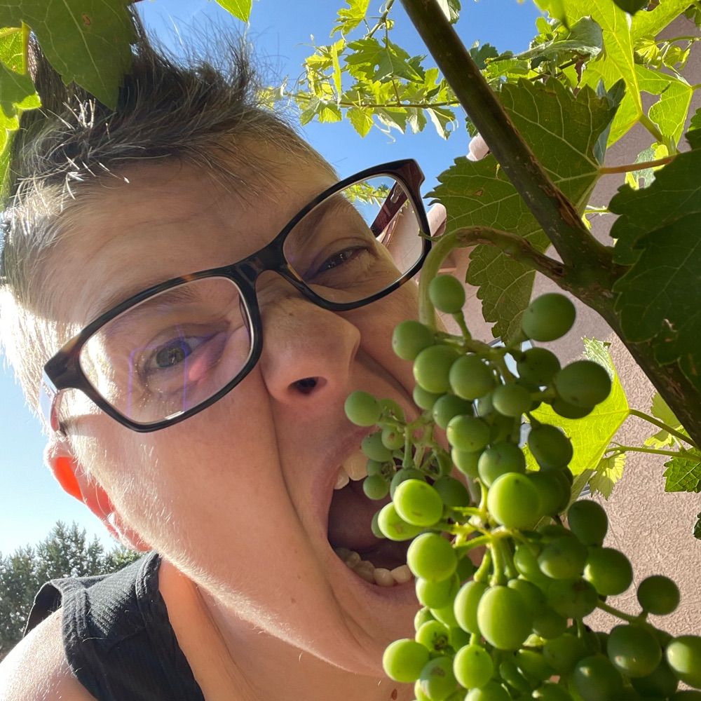 Picklepuss Pearlykim