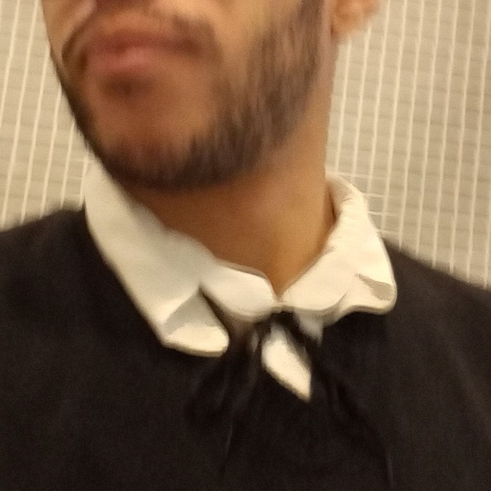 Somente necropsia de insetos 
