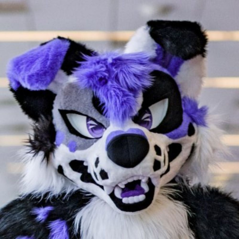 Gabe The Collie