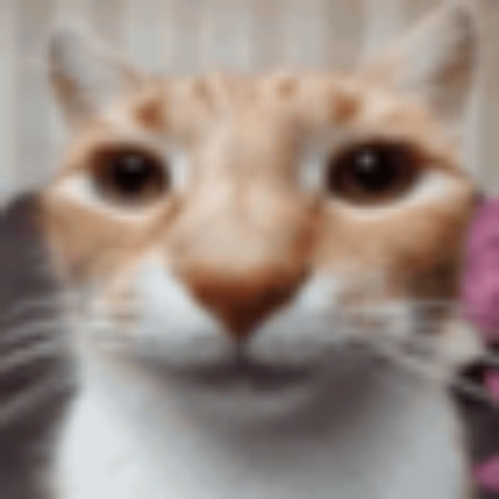 NeoFox