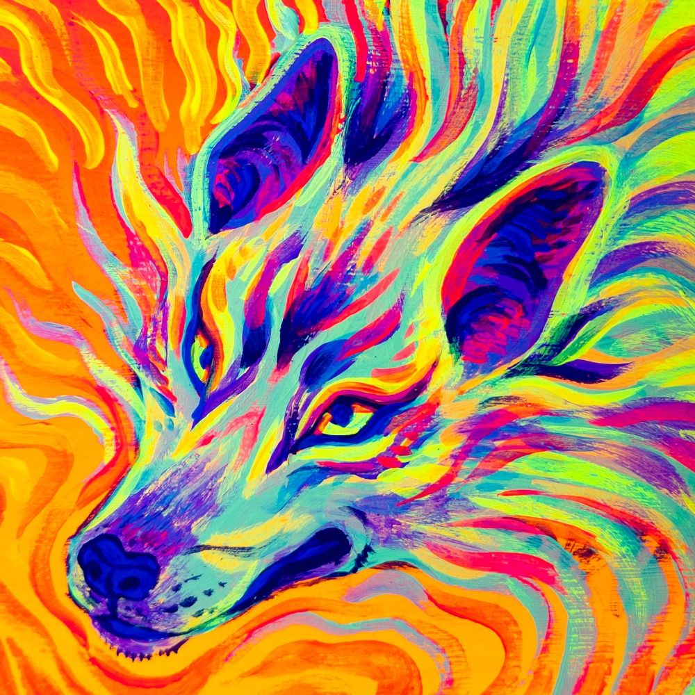 StarryKitsune