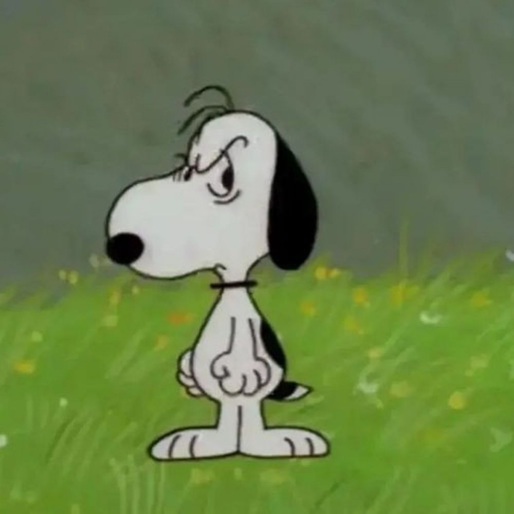 dg.