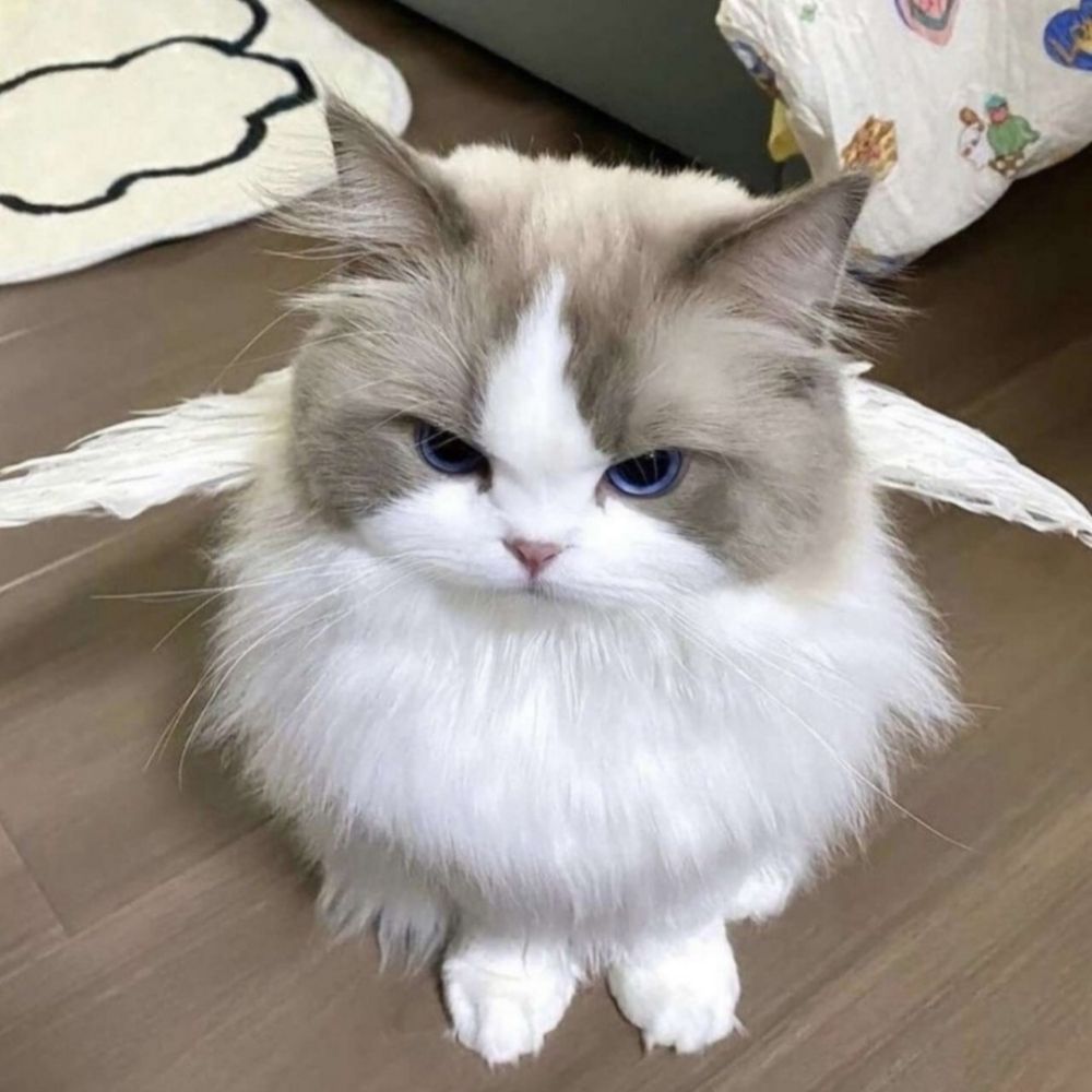 로기