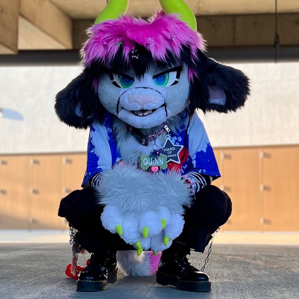 ⤜ 𝕷𝖔𝖚𝖎𝖘 ⤛