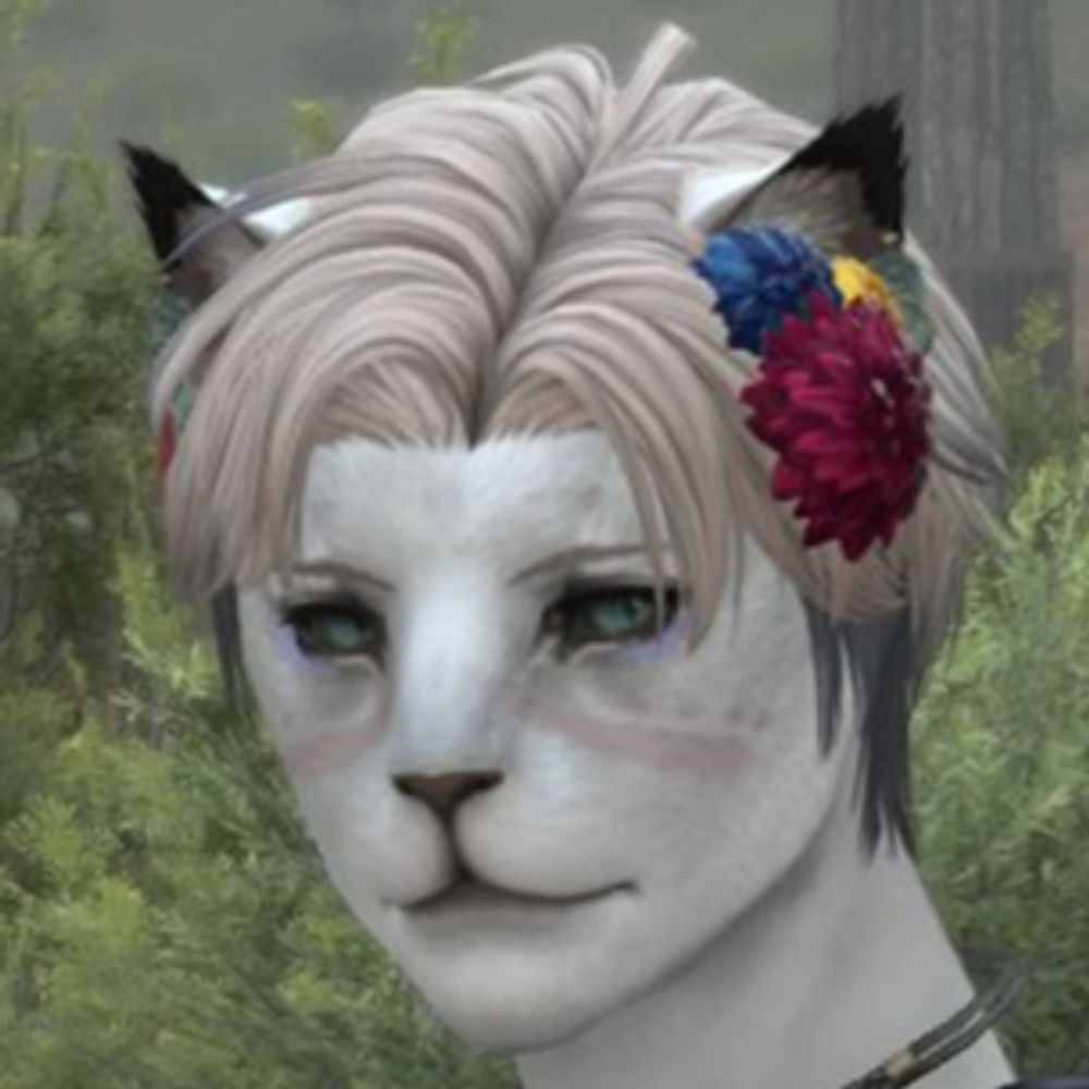 Crazy Pink Cat